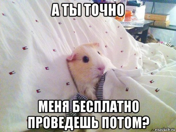 А ты точно продюсер
