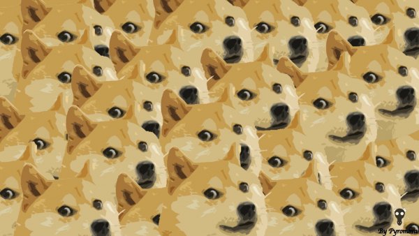 Собака Мем