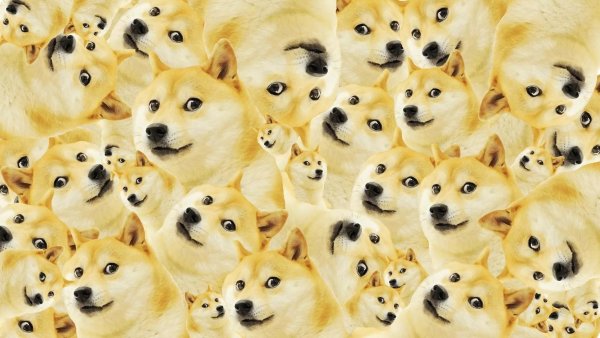 Фон собаки