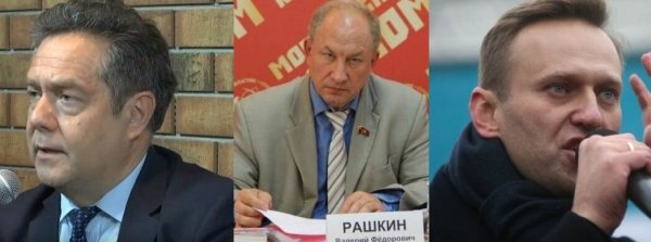 Платошкин Навальный КПРФ