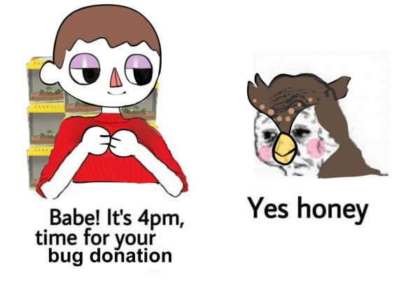 Мемы Yes Honey