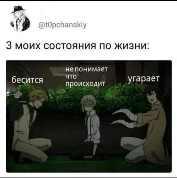 Великий из бродячих псов приколы