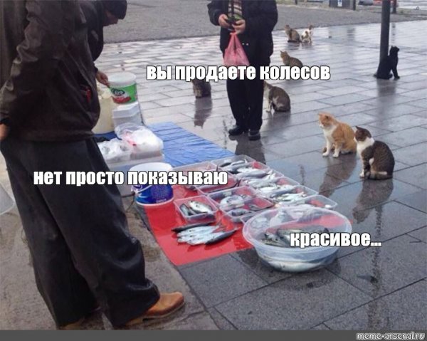 Коты вы продаете Рыбов