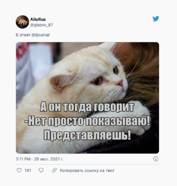 Котики и рыбы Мем