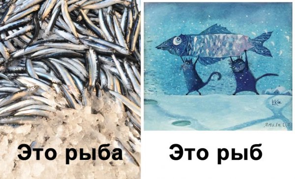 Коты вы продаете Рыбов