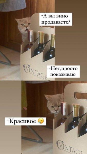 Мем про Рыбов