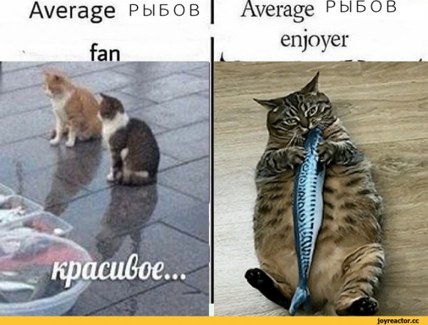Продаёте нет просто показываю красивое