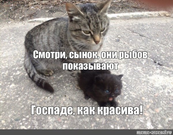 Вы продаете Рыбов