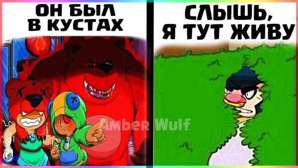 Мемы Браво старс