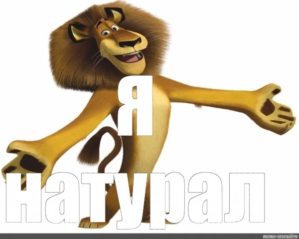 Лев Алекс Мадагаскар Мем