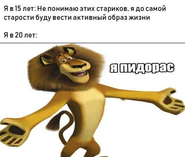 Алекс из Мадагаскара я пидорас