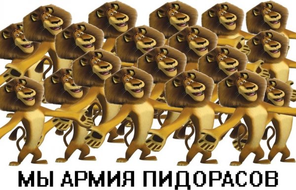 Лев Алекс мемы