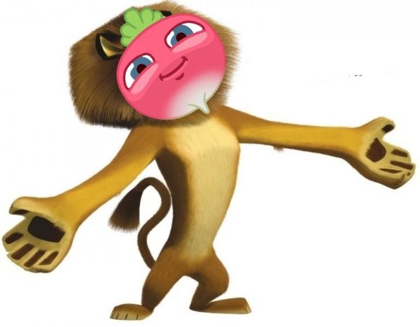 Алекс Мадагаскар пидорас