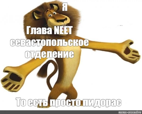 Мем Лев из Мадагаскара я пидорас