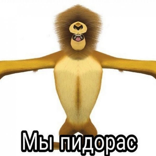 Мадагаскар Лев Алекс пидорас Мем
