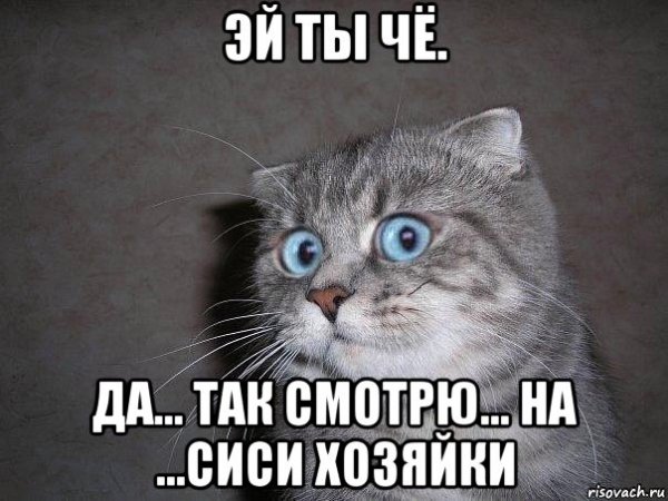 Эй ты Мем