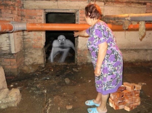 Мемы про гестапо