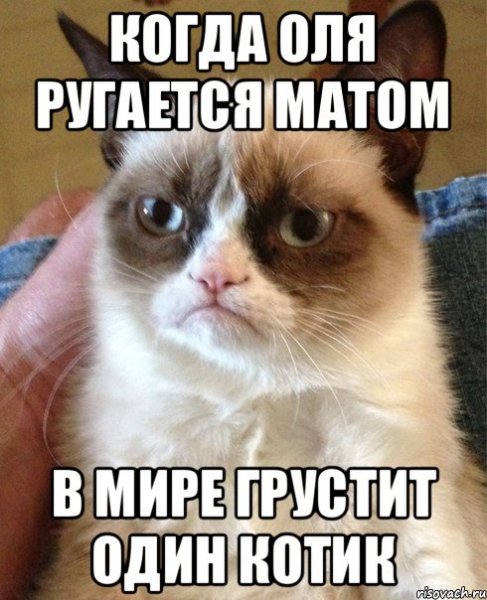 Коты матерятся мемы
