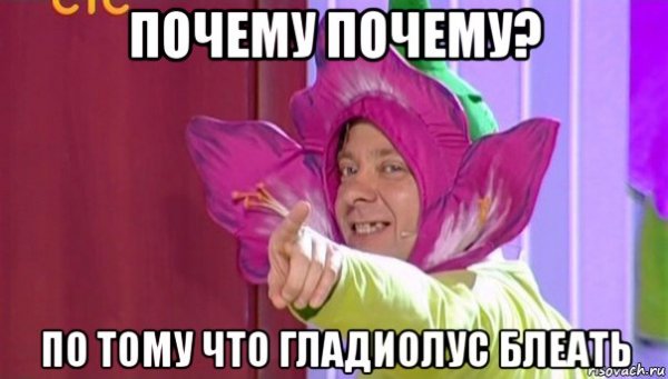Уральские пельмени Гладиолус
