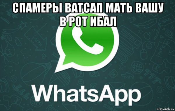 Мемы про вацап и ватсап