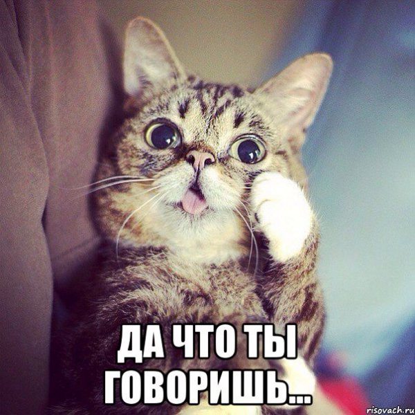 Ну давай расскажи мне