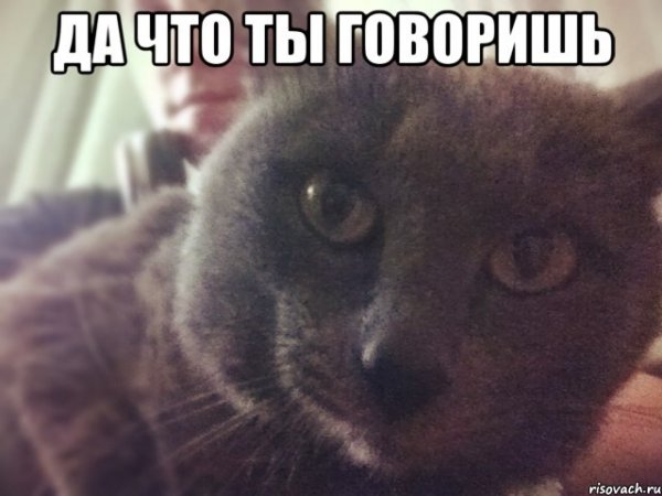 Мем мысли в 3 часа