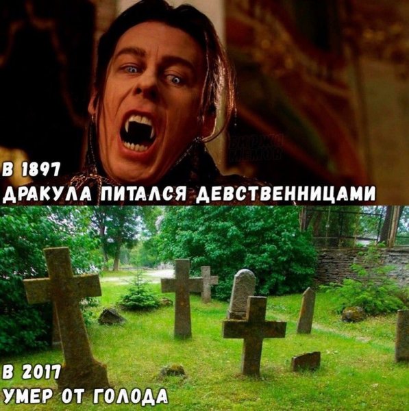 Мемы с надписями