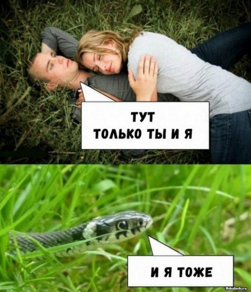 Мемы с надписями