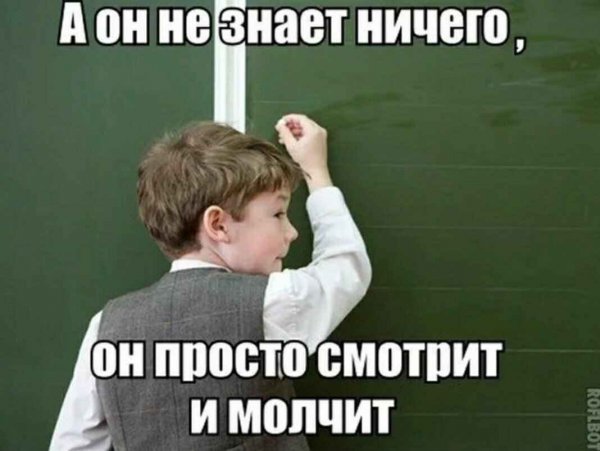 Мемы с надписями