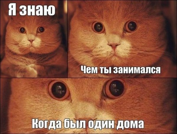 Мемы со словами смешные