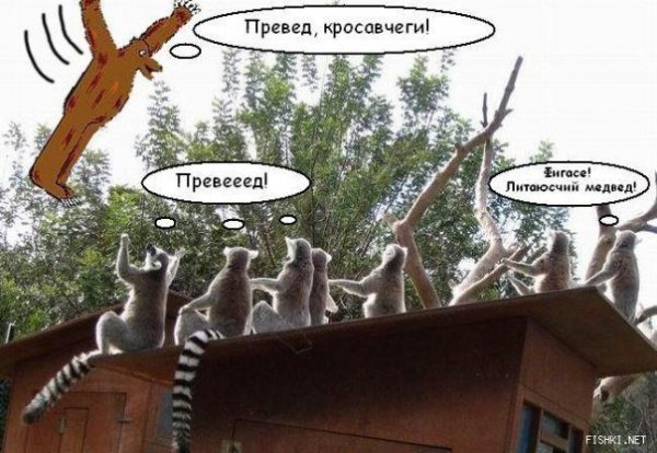 Превед приколы