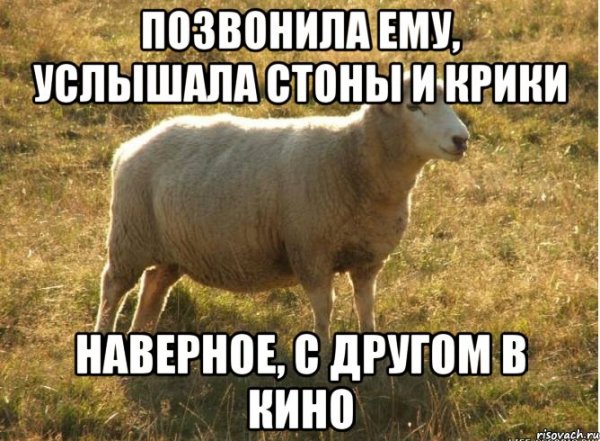 Женские СТОНЫ мемы