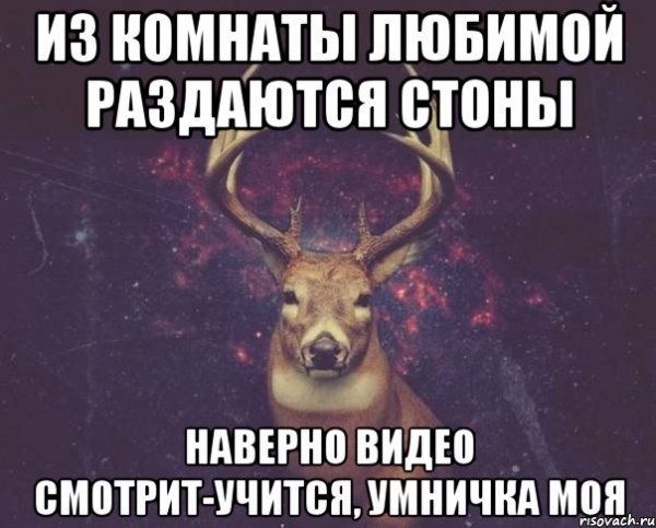 СТОНЫ Мем оригинал