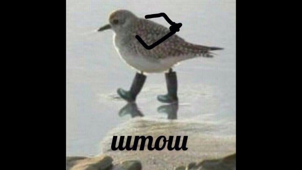 Ну штош Мем