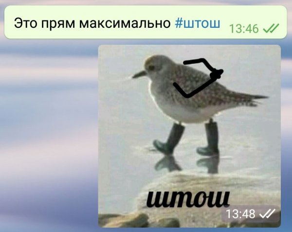 Штош Мем
