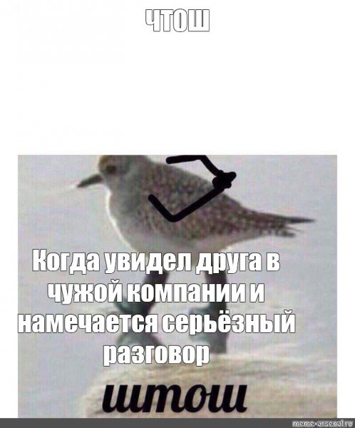 Штош птичка