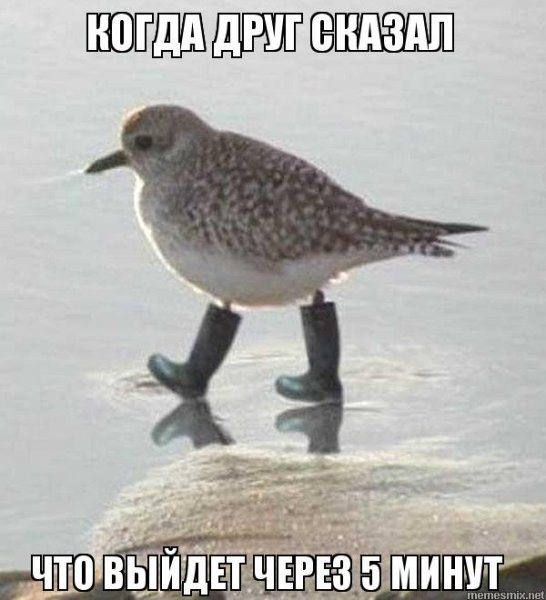 Штош Мем