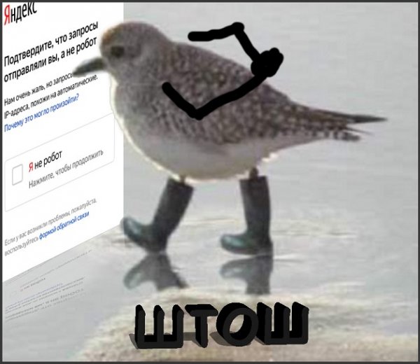 Мем штош с птицей