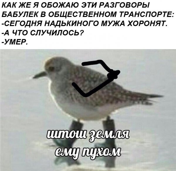 Штош Мем