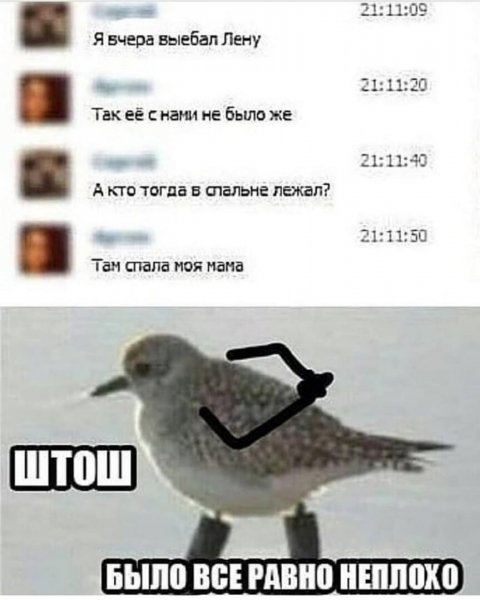 Мем штош с птицей