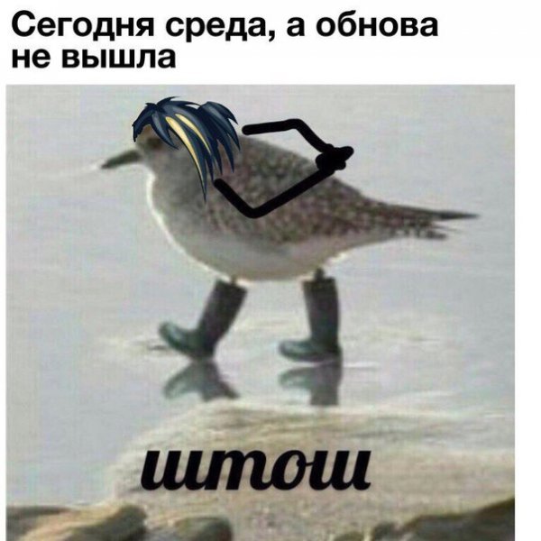 Штош Мем