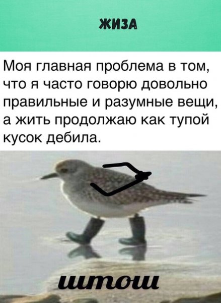 Ну чтож Мем