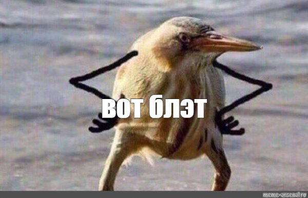 Вот блэт