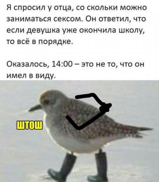 Мемы штош
