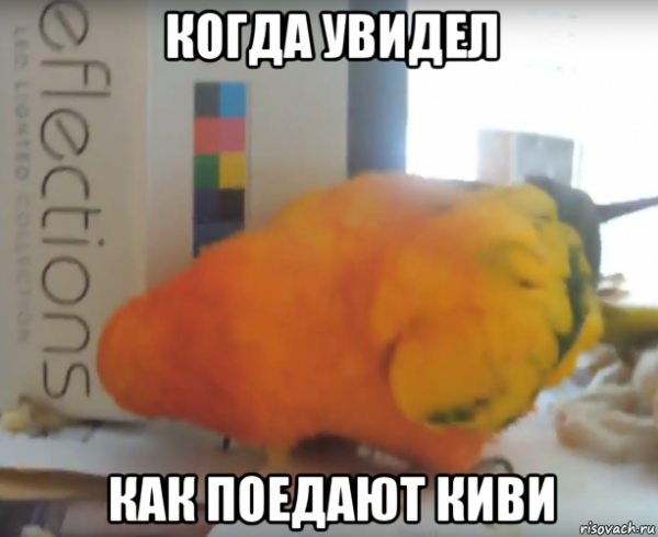 Ну чтож птица