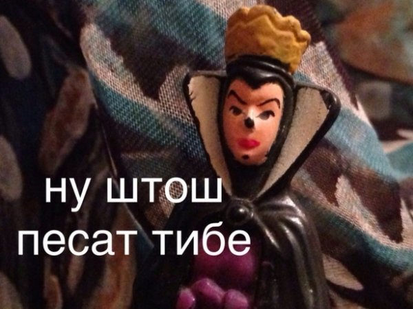 Штош попугай