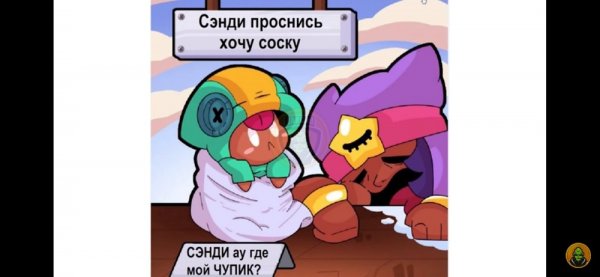 Браво старс Сэнди и Макс
