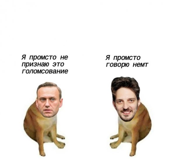 Мемы для элиты всех сортов