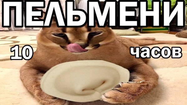 Шлёпа пельмени Мем