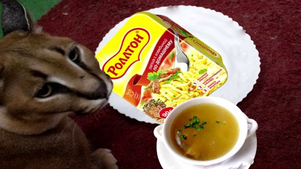 Кот и доширак